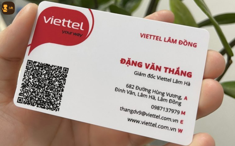 in card visit nhựa