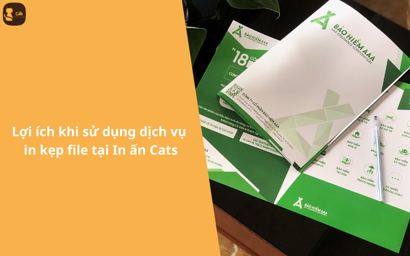 Lợi ích khi sử dụng dịch vụ in kẹp file tại In ấn Cats