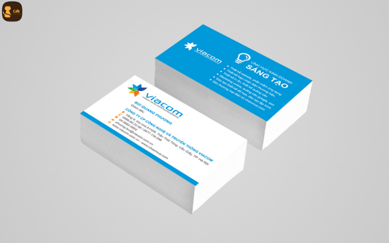 Các loại card visit phổ biến tại Cats