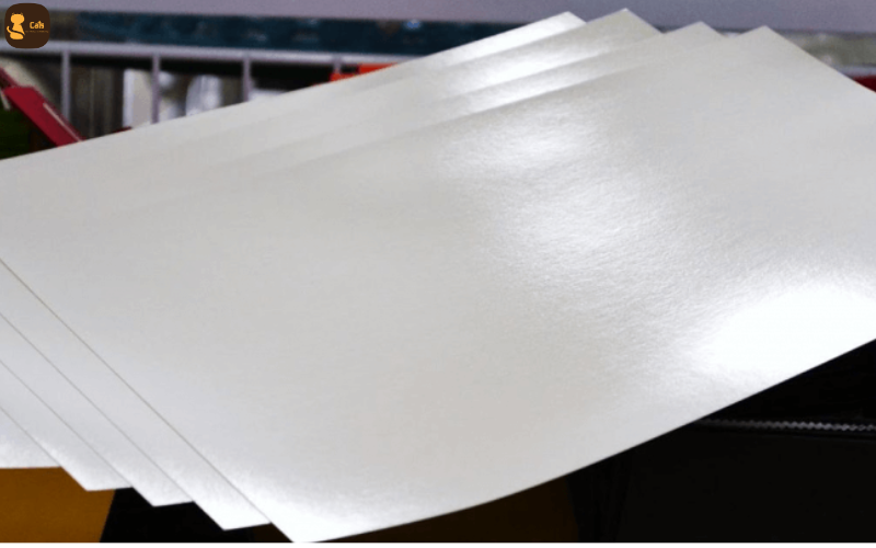 Giấy nhựa PVC – Bền bỉ, chống nước