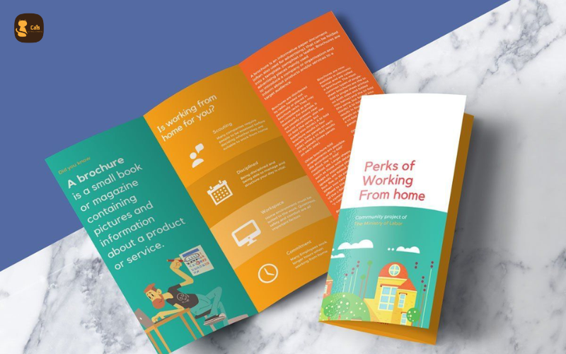 thiết kế in ấn brochure chuyên nghiệp
