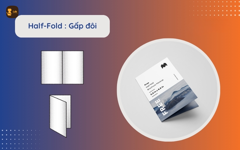 in ấn brochure chất lượng cao