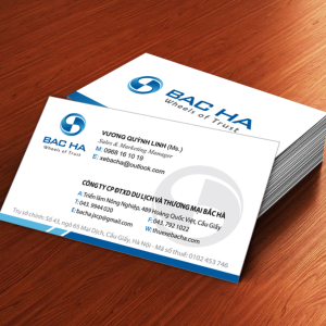 In card visit thường